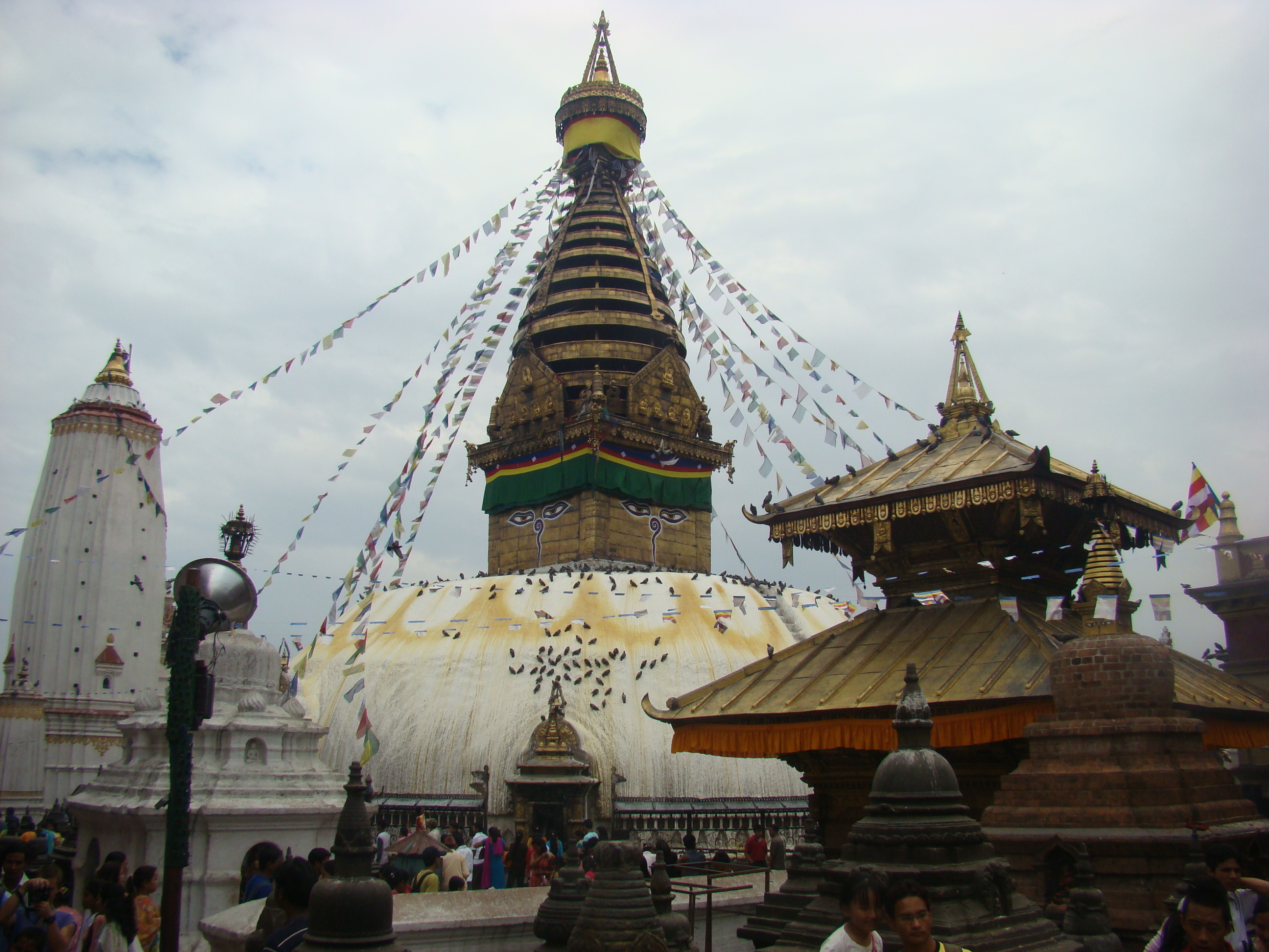 Buddha and Buddhism